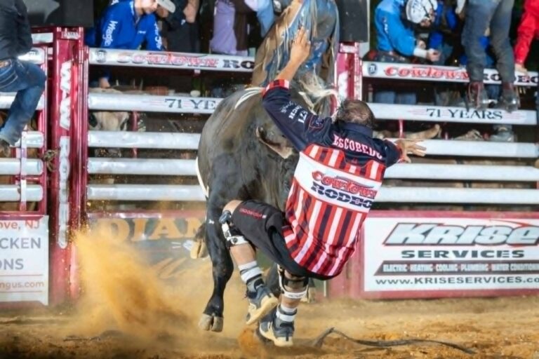 Cowtown Rodeo - Bucked and horned